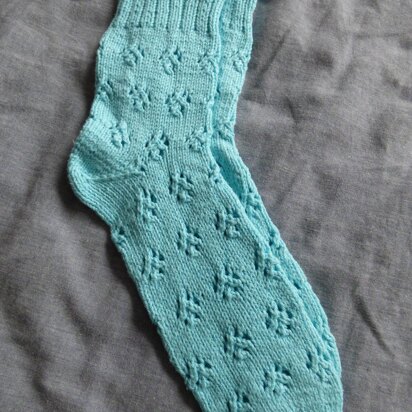 Lacy Bubbles Socks