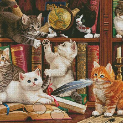 Kittens in the Library - #14469-MHS