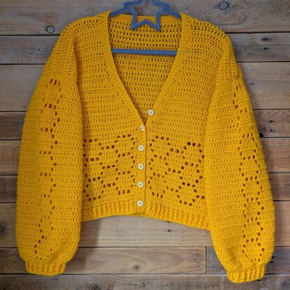 Honey to the Bee cardigan
