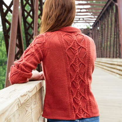 WEBS DIR07 Collar Your Dreams by Fiona Ellis - Cardigan Knitting Pattern for Women in Valley Yarns Valley Superwash DK