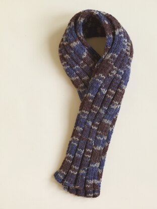 Ribbed Scarf in Lion Brand Vanna's Choice - 60815AD