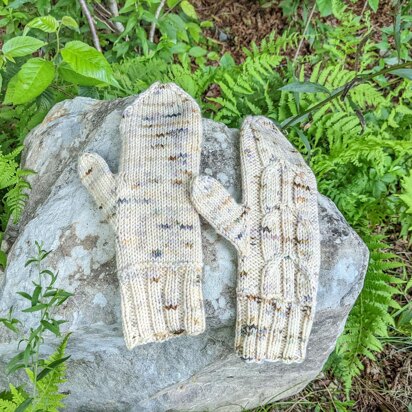 Rails to Trails Mittens