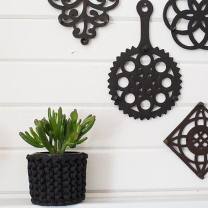 Project : 3 Plant Cozies