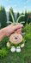Onion