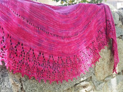 Edelwicke Shawl