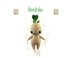 Mandrake