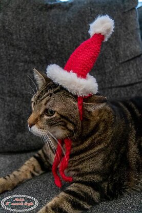 Cat Santa Hat