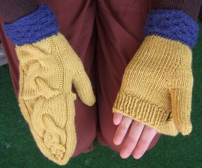 Winter Warmers - Mittens