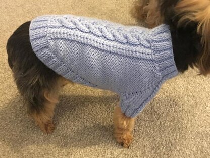 Sky Blue Dog Sweater