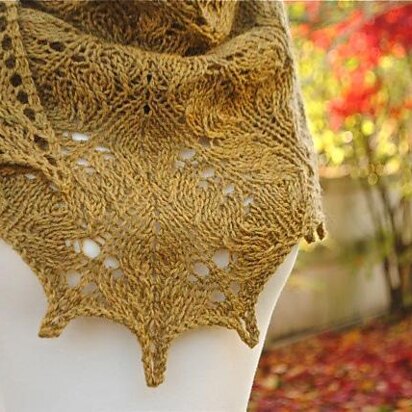 Cedar Grove Shawl