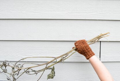 Ferny Mittens and Gloves