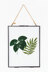 Monstera & Botanical Fern  in DMC - PAT0008 -  Downloadable PDF