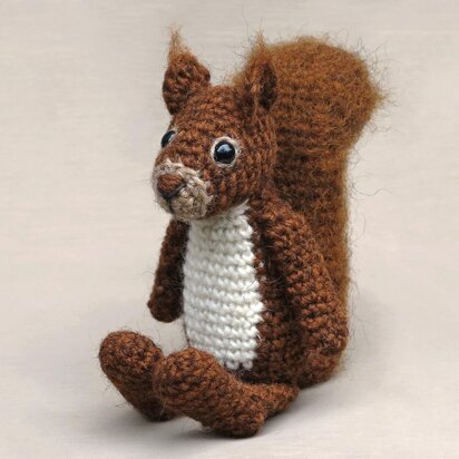 Floro the red squirrel