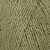 Fern (5606)