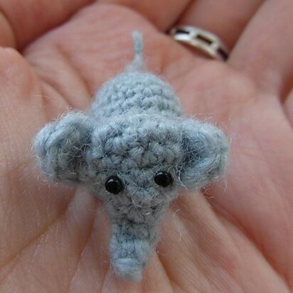 Oh, so tiny! Elephant