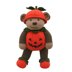 Pumpkin Costume (Knit a Teddy)