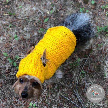 Small Dog Hoodie Sweater