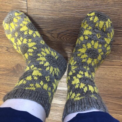 Helianthus Socks