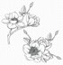 My Favorite Things Cling Rubber Stamps - Magnolia Blossoms