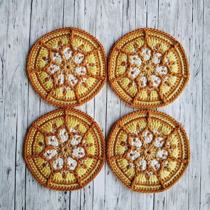 Ginger Star Coasters