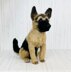 German Shepherd Dog