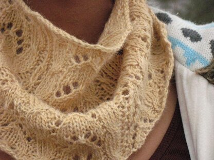 Hyacinth Neck Cozy