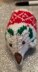 Christmas Hedgehog