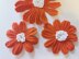 Gerbera Daisy Flower pattern