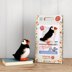 The Crafty Kit Company Atlantic Puffin Needle Felting Kit - 140 x 240 x 65mm