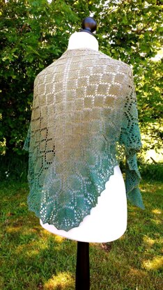 Tortoise shawl