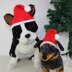 Free Dog Christmas Santa Hat