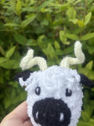 Valais Black Nose Sheep