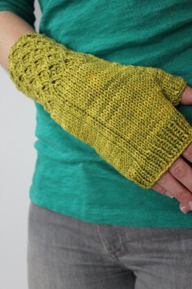 Green Iguana Mitts