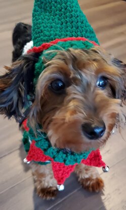 Elf dog clearance sweater