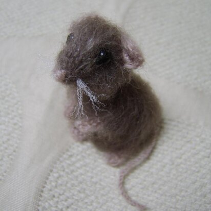 Little brown house mouse