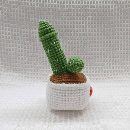 Surprise Cactus crochet pattern, Funny crochet pattern,Easy Crochet Patterns for Beginners