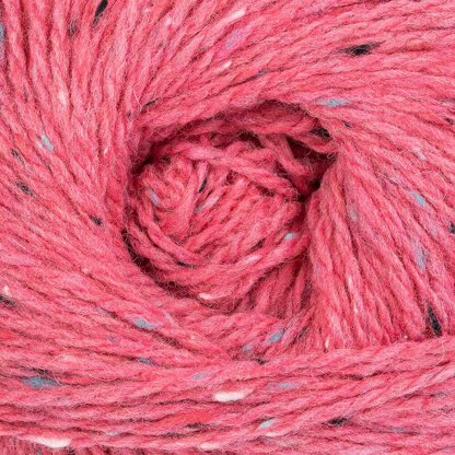Corallo (713)