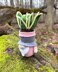 Gnome succulent (sansevieria)