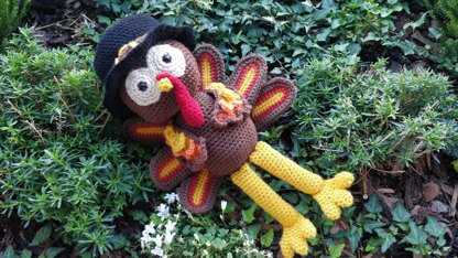 Thanksgiving Turkey with Pilgrim Hat Crochet Amigurumi