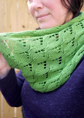 Garden Delight Cowl