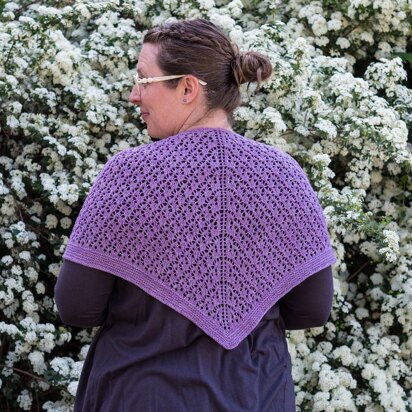 Eliza Scidmore's Shawl