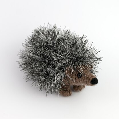 Curious hedgehog