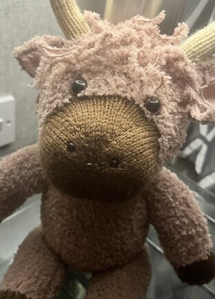 Highland Cow #3
