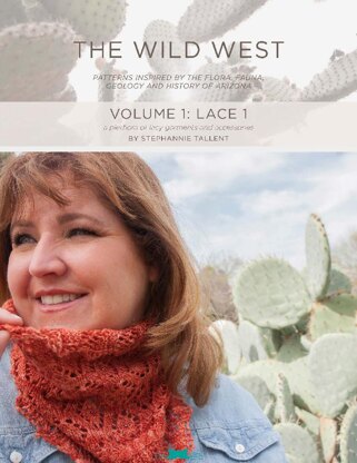 The Wild West Lace 1 E-Book