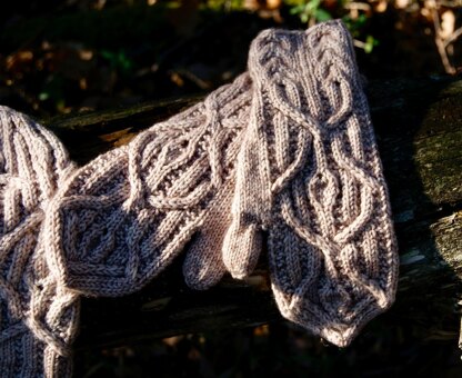 Proudy's Handschuhe/ Mittens