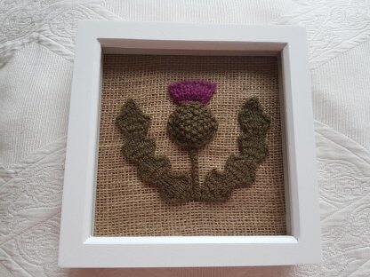 Knitted Thistle