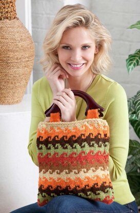Color Knit Bag in Red Heart Soft Solids - LW3060