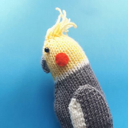 Jarvis Cockatiel