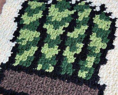 Snake Plant Blanket Square