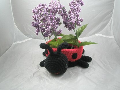 Ladybug Bowl